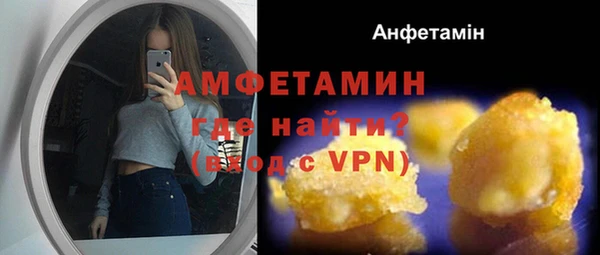 2c-b Ельня